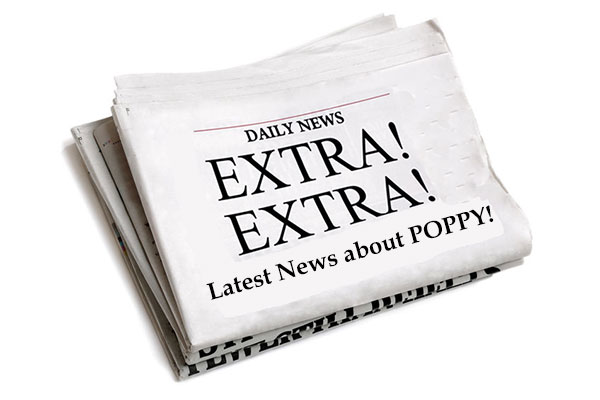 Extra! Extra! Latest News About Poppy