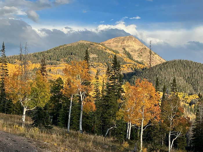 Rocky Mountains near Avi's cabin