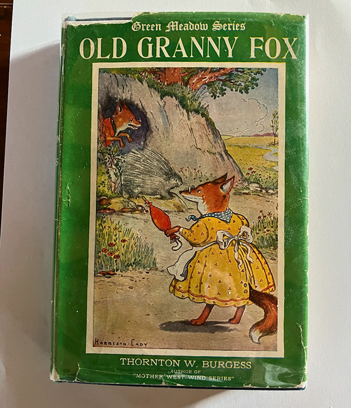 Old Granny Fox