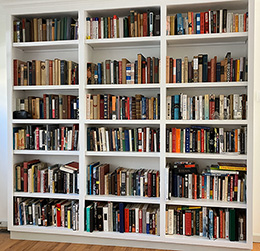 Avi's bookshelf