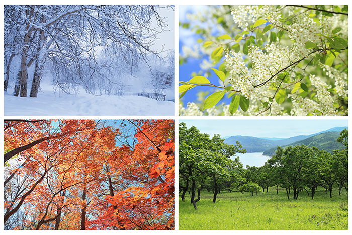 seasons winter spring summer autumn